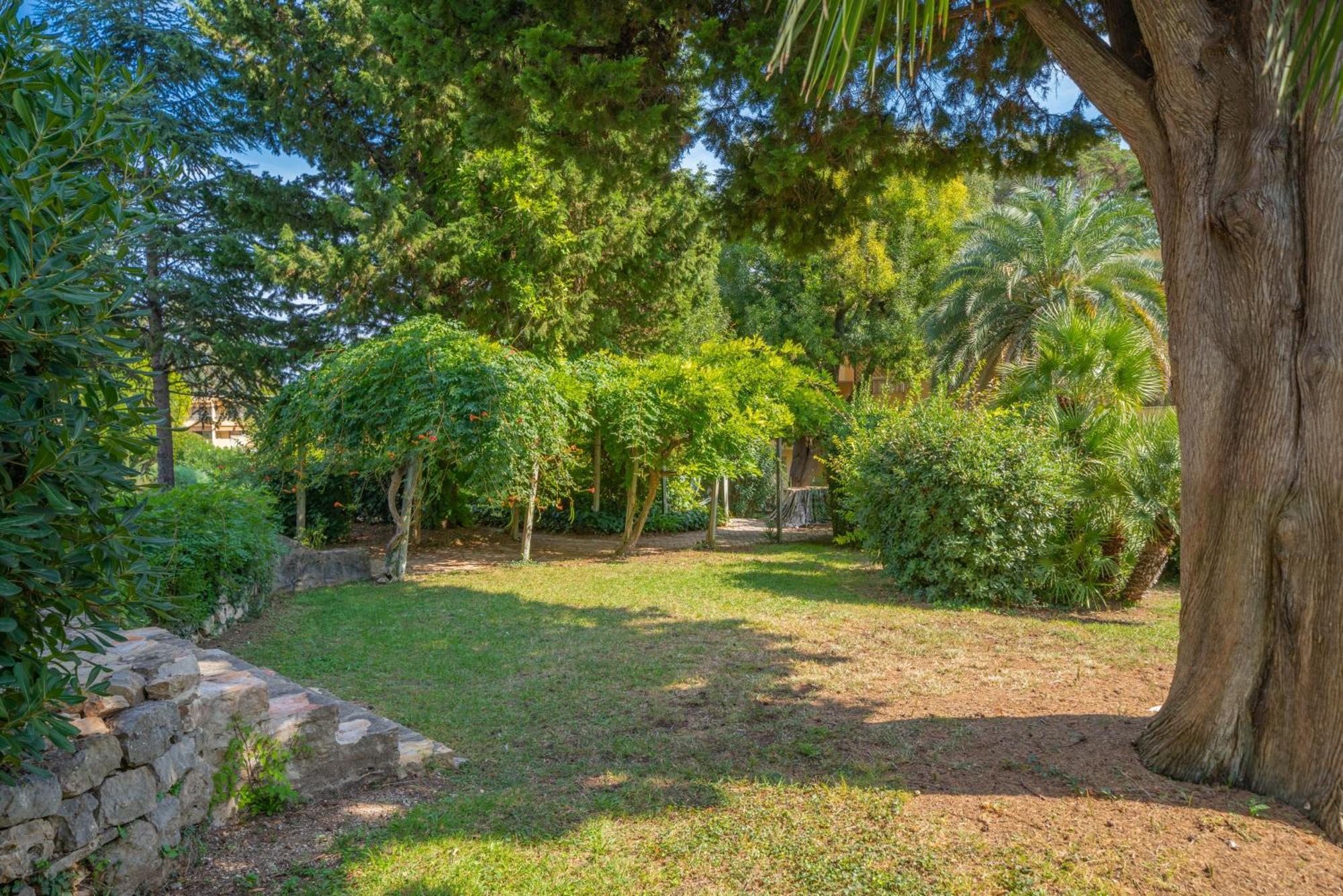 Les 15 Pins & La Mer -Your Green Getaway Near Sea & Beach Antibes Ngoại thất bức ảnh