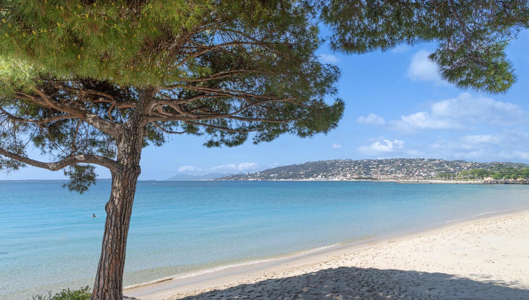 Les 15 Pins & La Mer -Your Green Getaway Near Sea & Beach Antibes Ngoại thất bức ảnh
