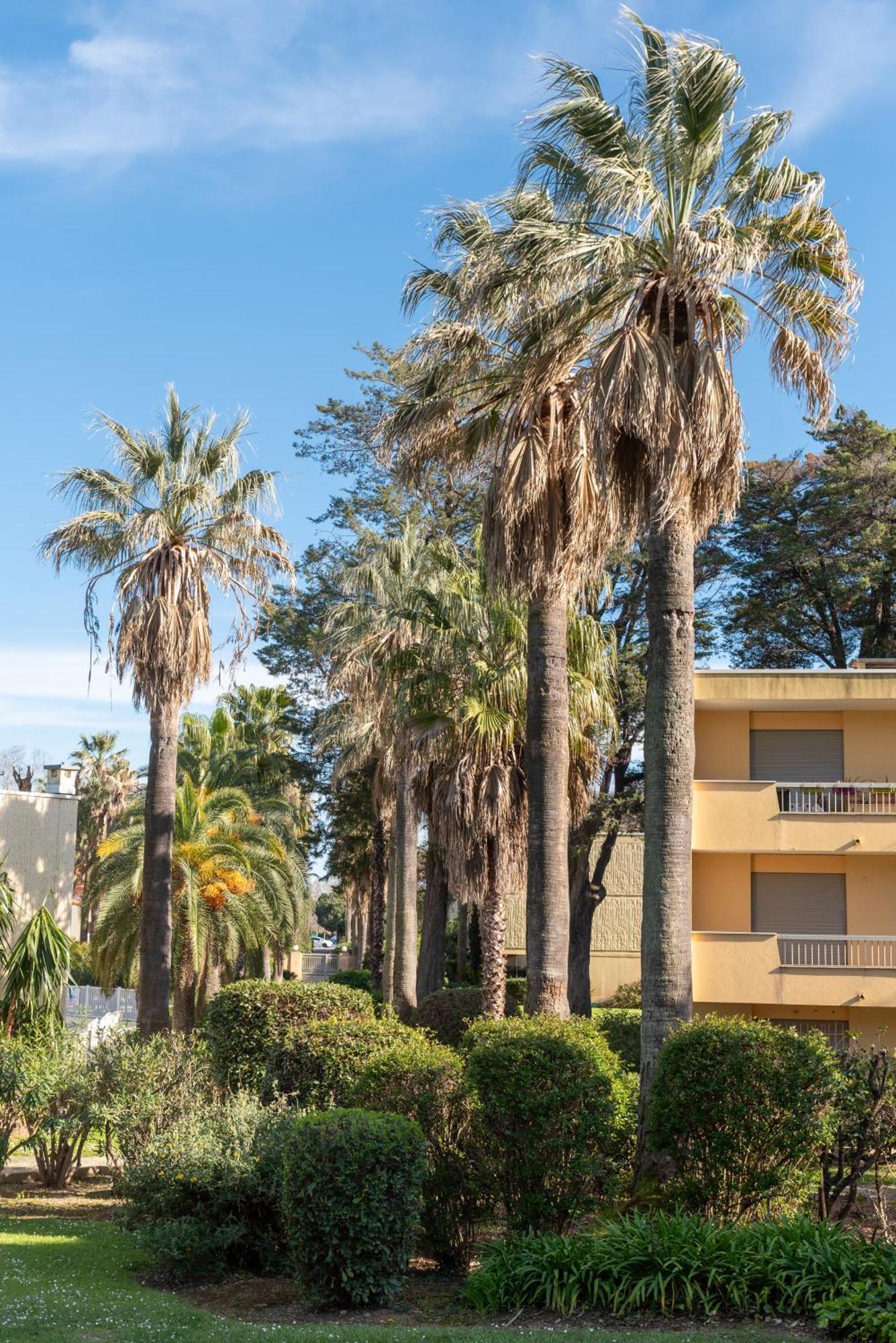 Les 15 Pins & La Mer -Your Green Getaway Near Sea & Beach Antibes Ngoại thất bức ảnh